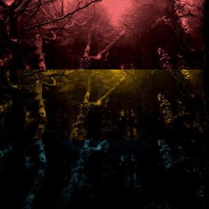 In The Night（prod by youngkimj）