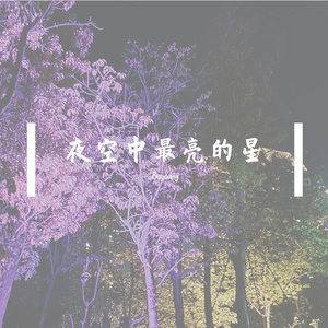 《夜空中最亮的星》