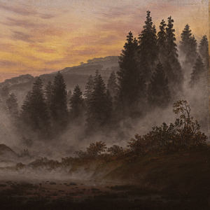 feeling the cold breeze