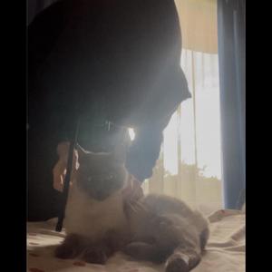 sabes (feat. britneygore & leoewski)