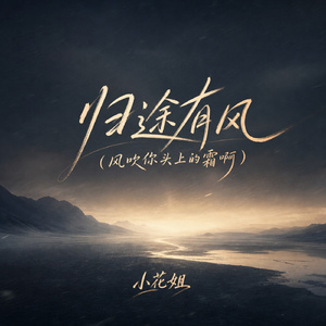 归途有风(风吹你头上的霜啊)