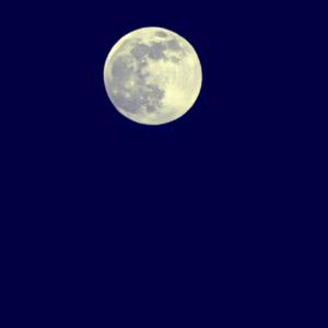 庾澄庆-春泥（李子 remix）