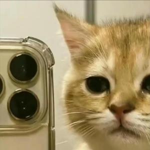 รักดีๆ จะมีบ้างไหม (remix) (feat. Mhv)