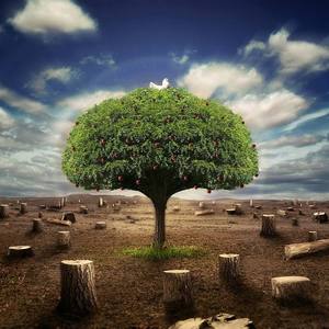 最后的生命（Prod by 张杰峻）