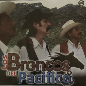 Cuando Salgo A los Campos