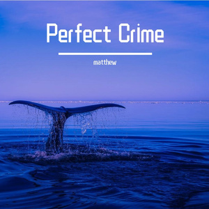 Perfect Crime