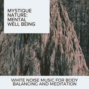 Colorful Birds Audio