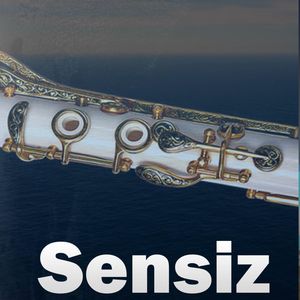 Sensiz