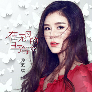在无风的日子等你