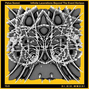 Gravitational Collapse III