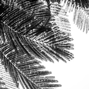 布达佩斯的回忆