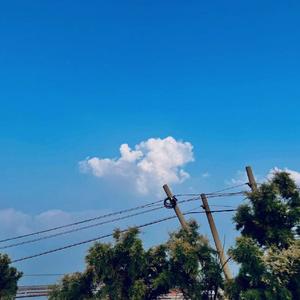 心大陆（demo）