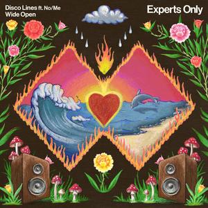 Wide Open (Extended Mix)