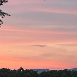 Vacation (feat. Nate)