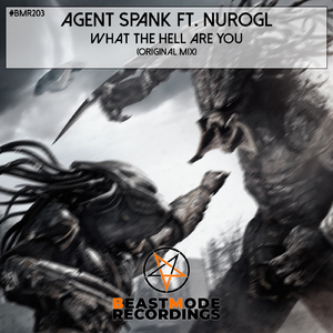 What The Hell Are You