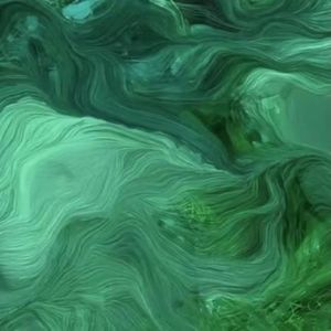 如果，如果，或者（prod.by4Hunnid）