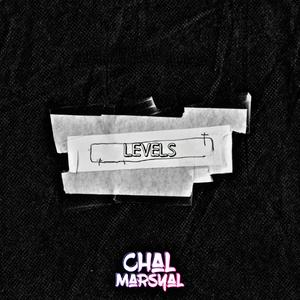 LEVELS