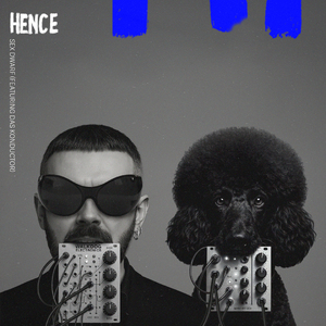 Sex Dwarf (Aesthetic Perfection Remix)