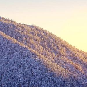 红灯记 临行喝妈一碗酒