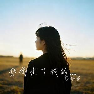 你偷走了我的心