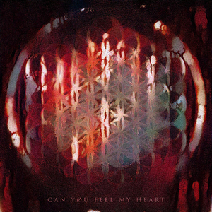 Can You Feel My Heart (feat. Youth Never Dies)