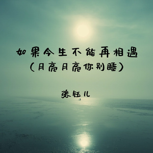 如果今生不能再相遇(月亮月亮你别睡)