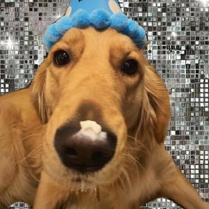 无名之辈 钢琴伴奏（改编）（翻自 陈雪燃）