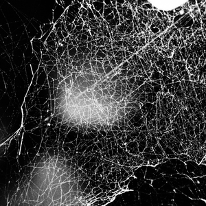 Litany of Saltridden Exudate Under Theosectrian Tides