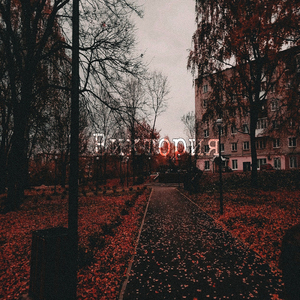 Мёртвый микрокосмос