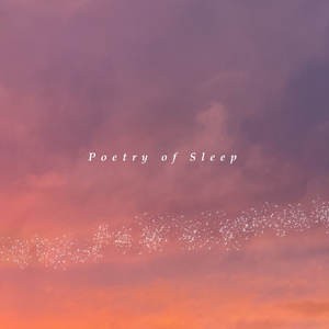 Poetry of Sleep