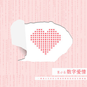 数字爱情