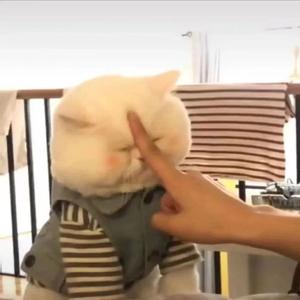 路过人间（cover郁可唯）