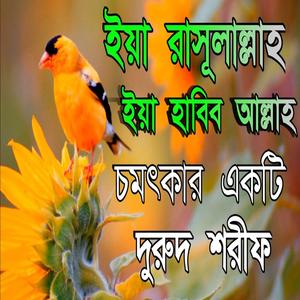 ইয়া রাসূলাল্লাহ ইয়া হাবিব আল্লাহ চমৎকার দুরুদ শরীফ।ya Rasool allah ya Habib allah durur Sharif.