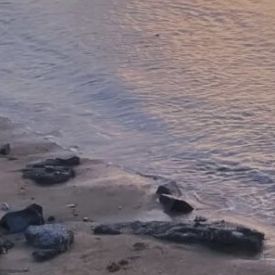 等不到的爱 (20)