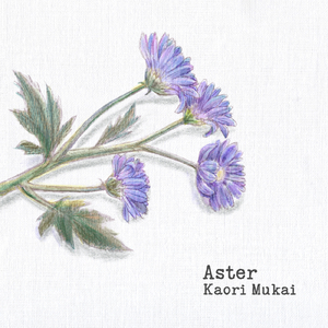 Aster