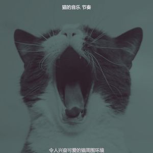 抚慰的放松的猫回忆