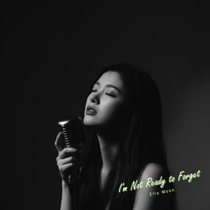 Still Loving You Quietly