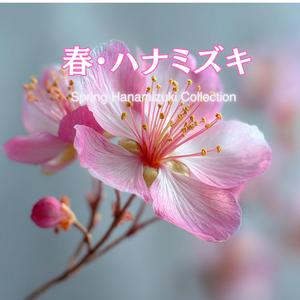 ハルハナララ – Bloom Melody