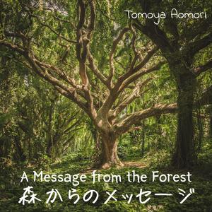 A Message from the Forest (森からのメッセージ)