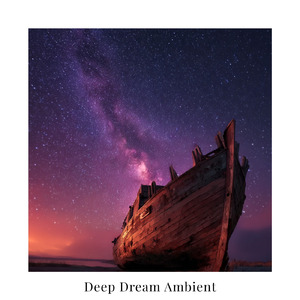 快眠へ誘う睡眠アンビ ストレス解消、不眠改善