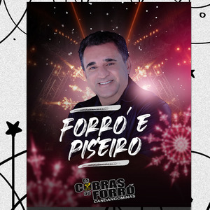 Meu Amor Não Vá Embora