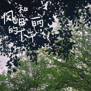 风和日丽的下午