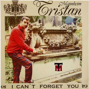 I can't forget you (Danceability Version)