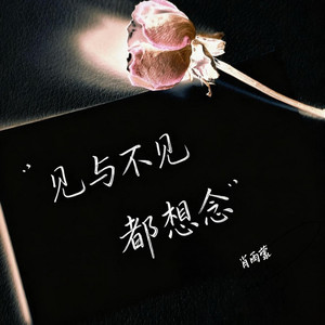 见与不见都想念