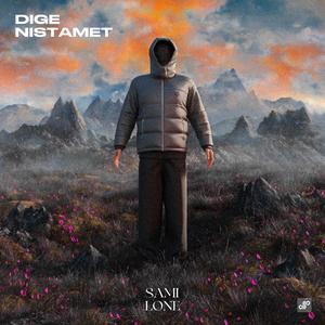 Dige Nistamet