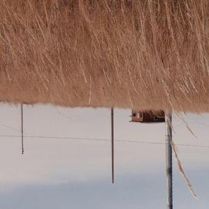 雨燕（翻自 南青乐队）