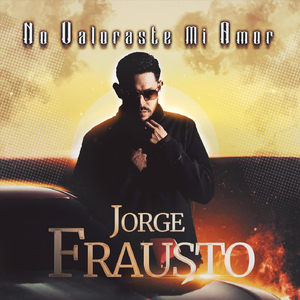 No Valoraste Mi Amor