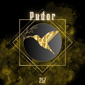 Pudor