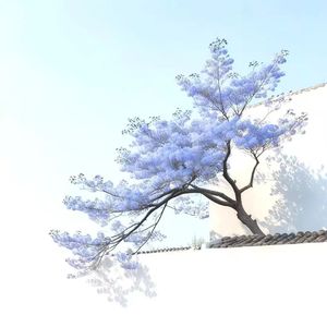 仿佛又回到了青春年少