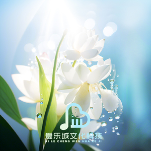 龙船谣 古筝养生音乐